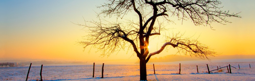 ��ֵ����